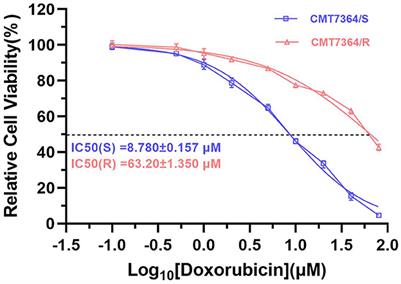 Establishment and characterization of a multi-drug resistant cell line for canine mammary tumors